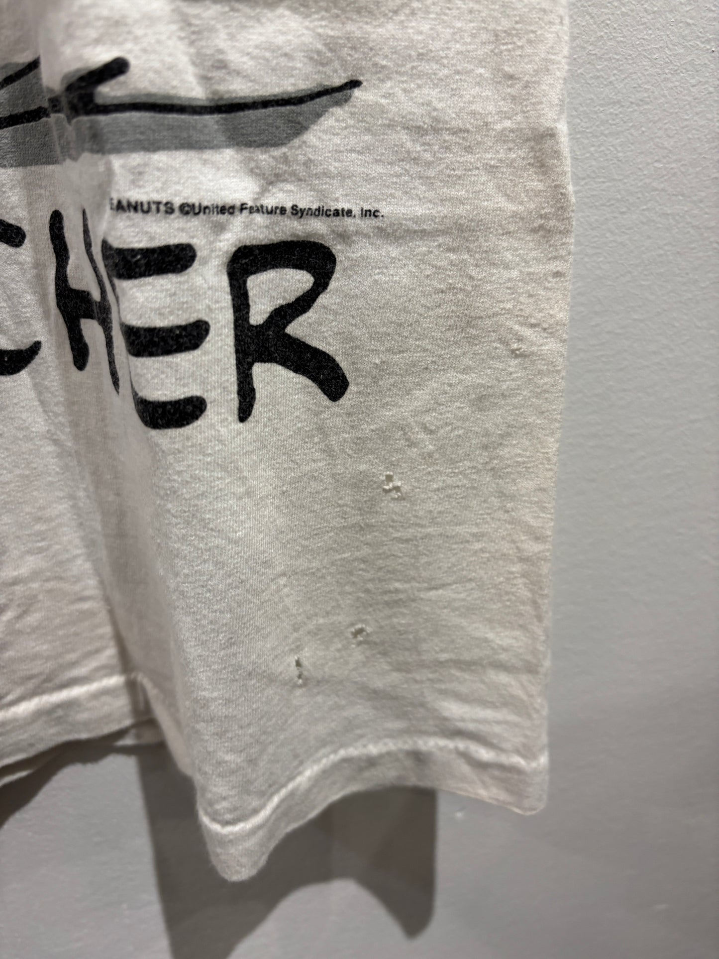 Snoopy Joe Teacher Shirt