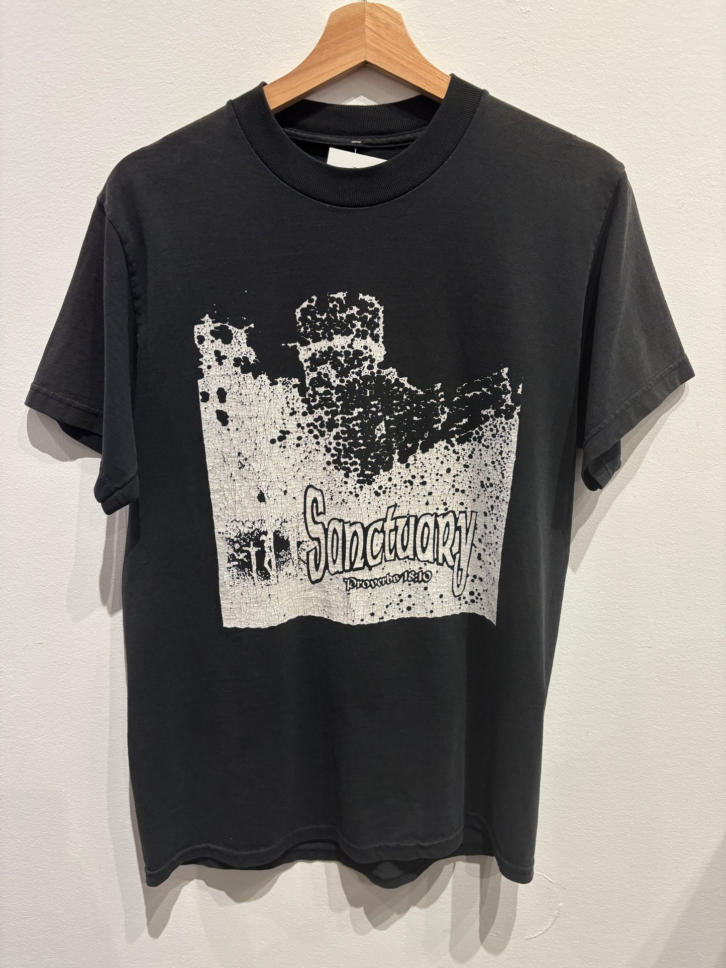 Proverbs Jesus Shirt