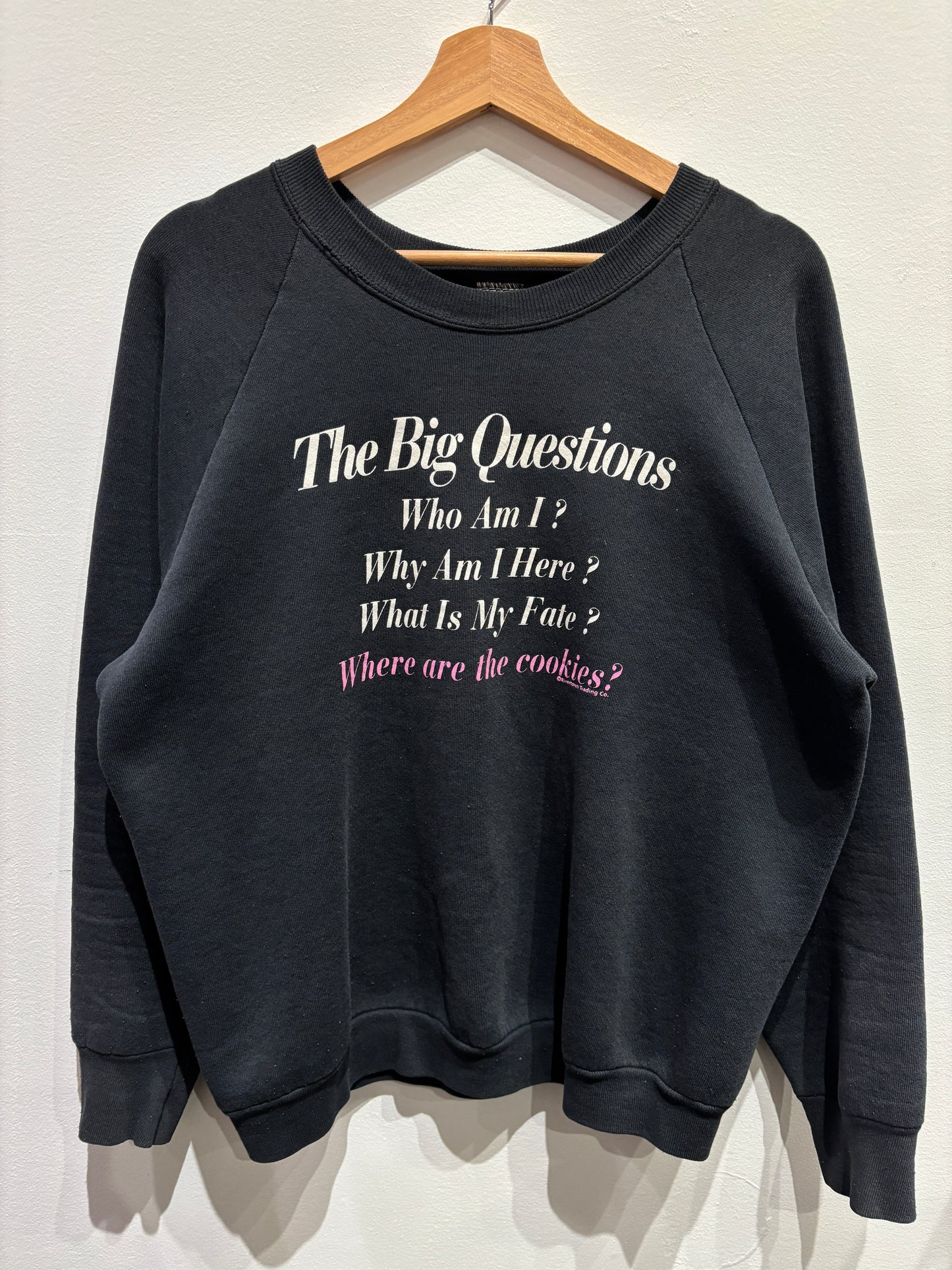 Big Questions Crewneck Sweatshirt