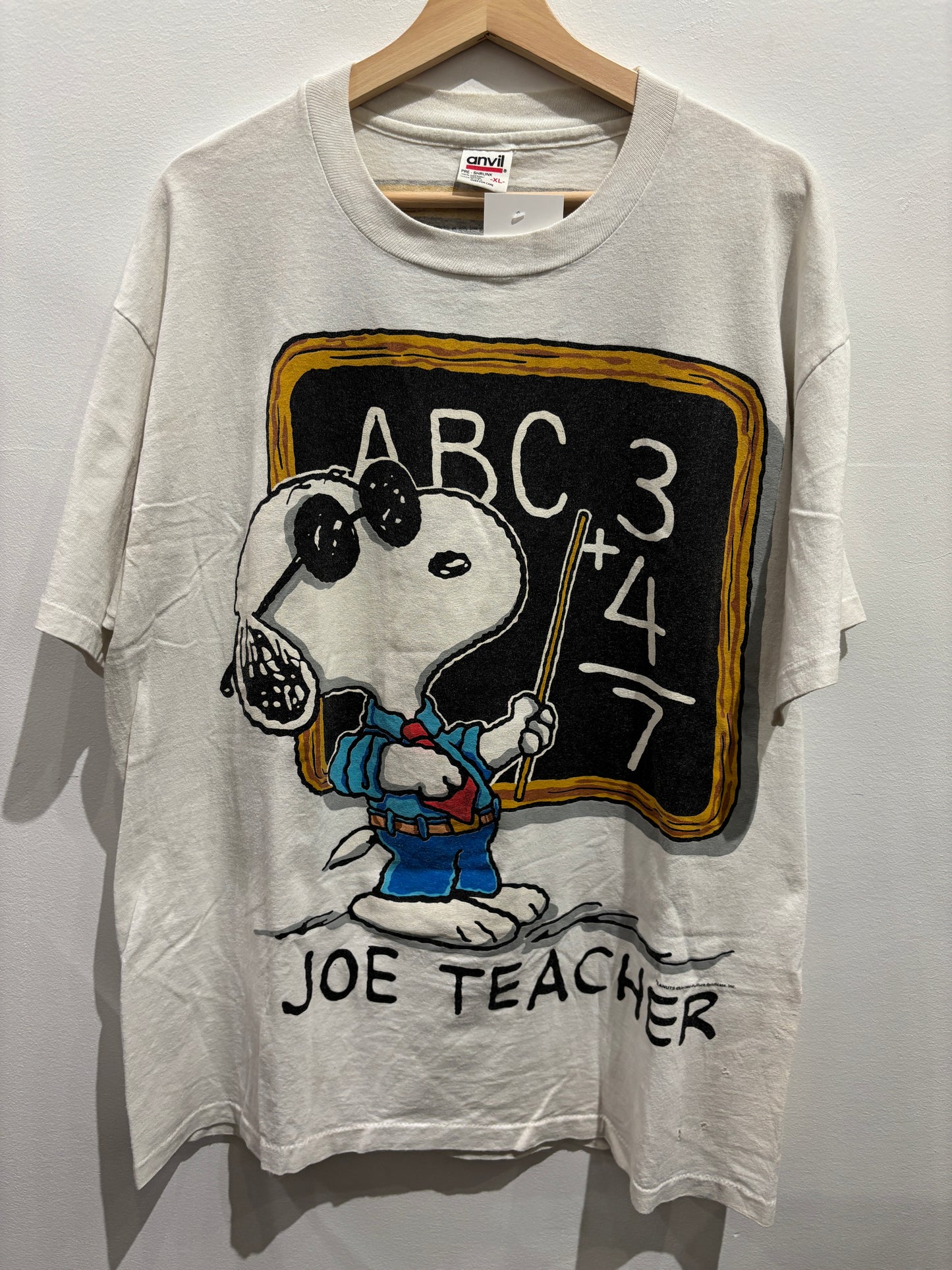 Snoopy Joe Teacher Shirt
